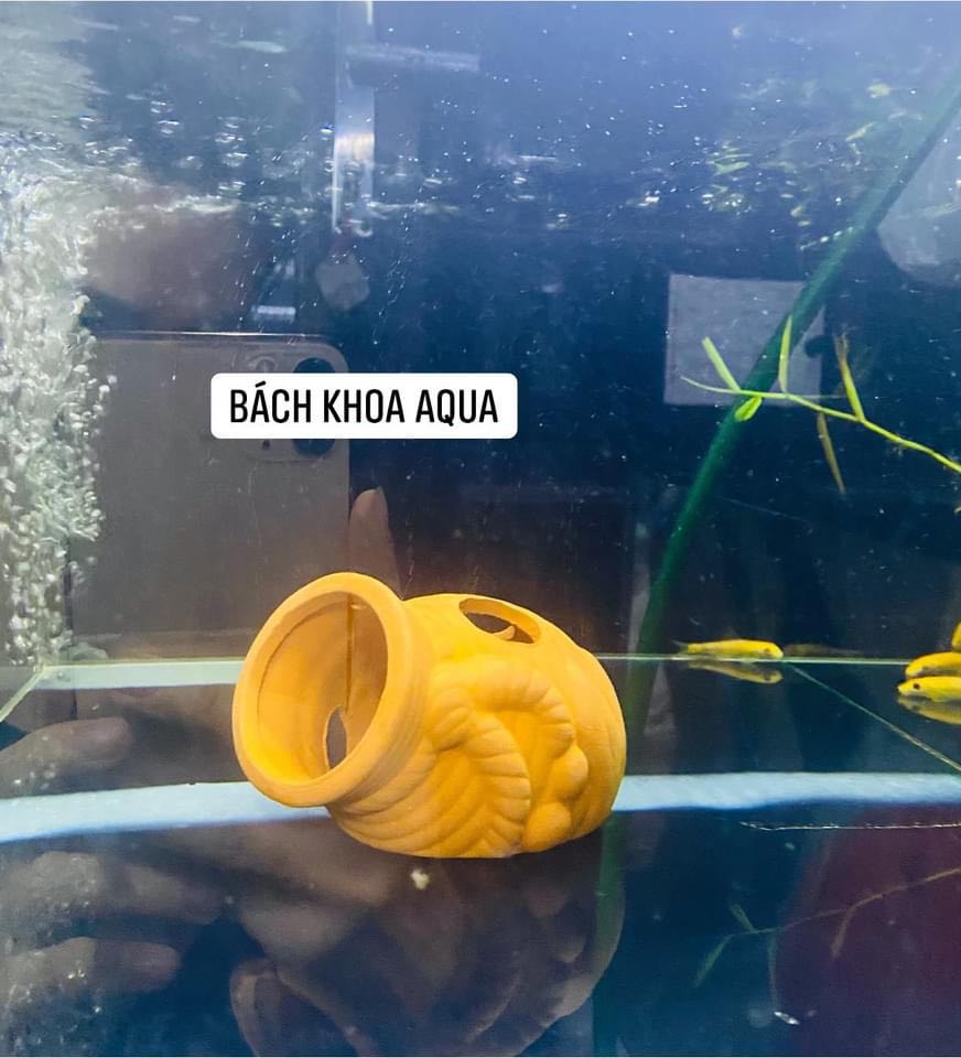 Bình lu gốm có lỗ chui cho cá tép